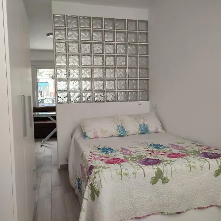 公寓 Loft Con Solarium En Carihuela 托雷莫利诺斯